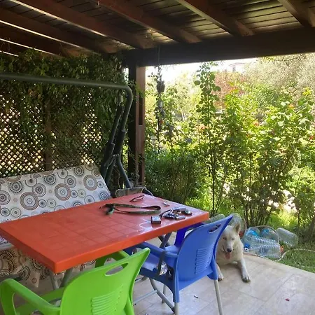 Pandora Datça